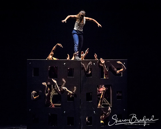 DIAVOLO - Voyage pc Sharen Bradford-0193