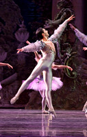 TB Sleeping Beauty Wed.-0065
