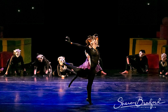 Battle Scene pc Sharen Bradford-0668