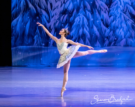 CCBT Nutcracker 19 pc Sharen Bradford-4834