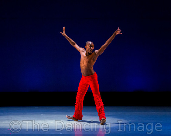 Alvin Ailey ADT-0049