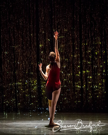 Stardust-pc Sharen Bradford-1532
