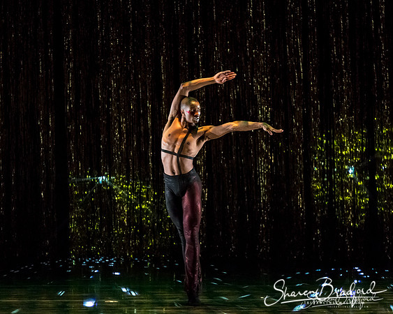 Stardust-pc Sharen Bradford-1614
