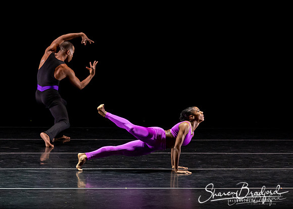 DBDT Execution of a Sentiment pc Sharen Bradford-0993