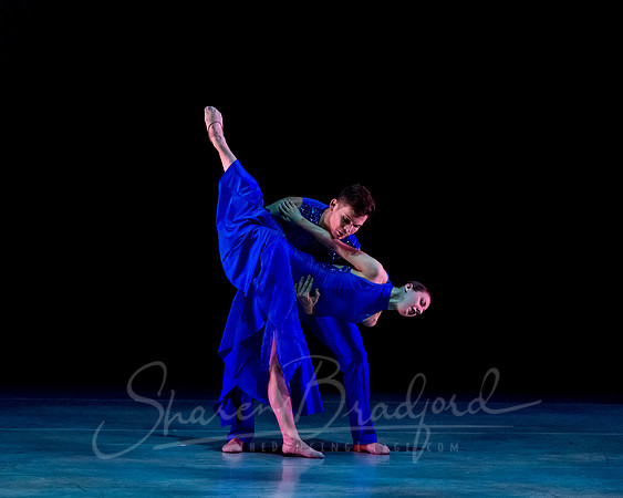 Following Echoes - pc Sharen Bradford-3120