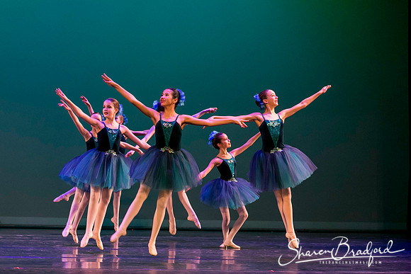 Khachaturian Waltz pc Sharen Bradford-3659