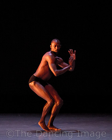 Alvin Ailey ADT-2265