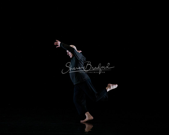 Nocturne pc Sharen Bradford-0732