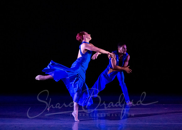 Following Echoes - pc Sharen Bradford-3230