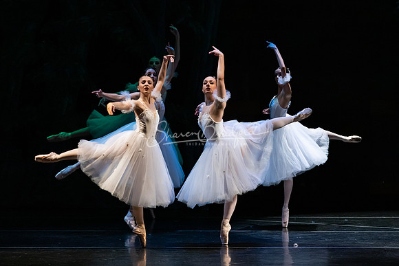 Ballet NTX Sleeping Beauty pc Sharen Bradford-1409
