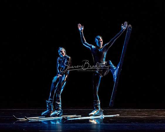 Millennium Skiva pc Sharen Bradford-8501