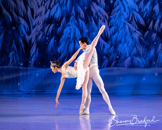 CCBT Nutcracker 19 pc Sharen Bradford-4881