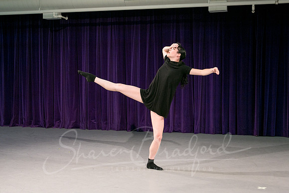 Gold Shadow pc Sharen Bradford-1639