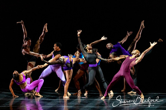 DBDT Execution of a Sentiment pc Sharen Bradford-1155