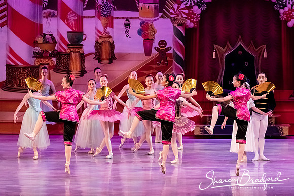 CCBT Nutcracker 19 pc Sharen Bradford-5434