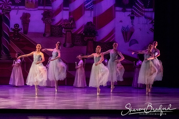 CCBT Nutcracker 19 pc Sharen Bradford-5285