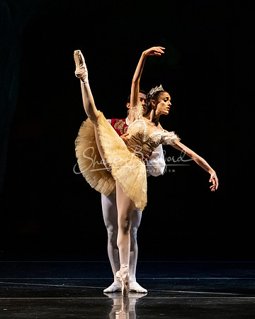 Ballet NTX Sleeping Beauty pc Sharen Bradford-1259