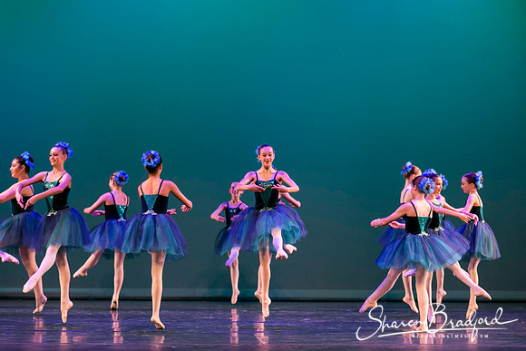 Khachaturian Waltz pc Sharen Bradford-3669