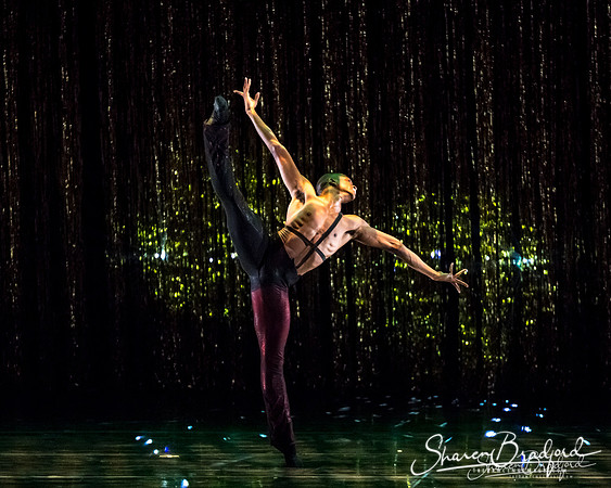 Stardust-pc Sharen Bradford-1626