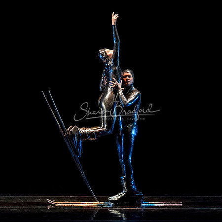 Millennium Skiva pc Sharen Bradford-8542
