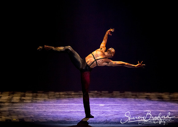 Stardust-pc Sharen Bradford-0993