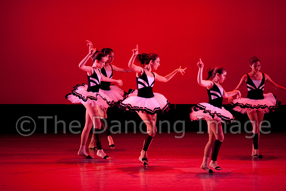 IMG_5981