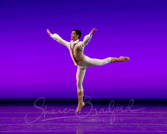 Swan Lake Pas de Trois-4074
