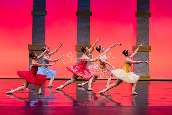 Ballet NTX Sleeping Beauty pc Sharen Bradford-0060