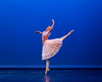 Coppelia Variation - Jakimier