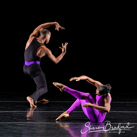 DBDT Execution of a Sentiment pc Sharen Bradford-0991