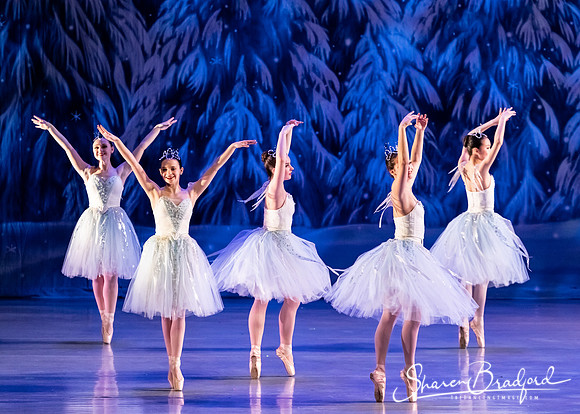 CCBT Nutcracker 19 pc Sharen Bradford-4935
