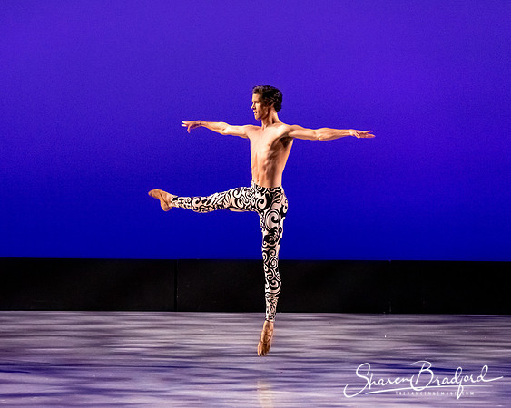 Ballet 37 pc Sharen Bradford-0504