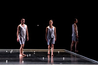 WHY PATTERNS-1152