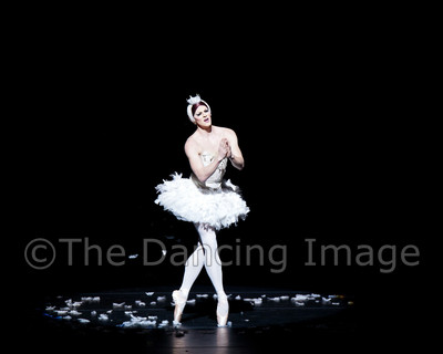 Dying Swan-0539