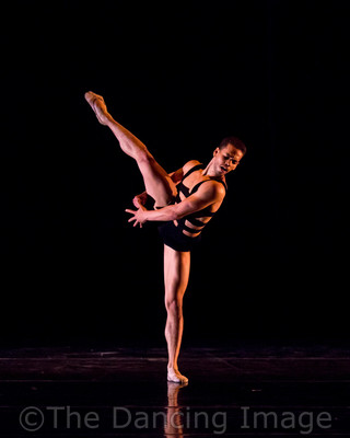 Growth_Albert Drake-1223