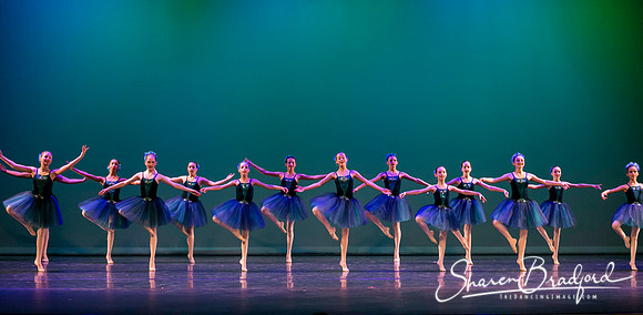 Khachaturian Waltz pc Sharen Bradford-3721