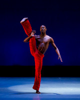 Alvin Ailey ADT-0063