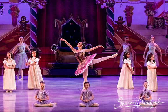 CCBT Nutcracker 19 pc Sharen Bradford-5344