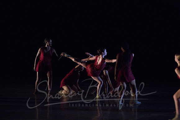 Bloom pc Sharen Bradford-9153