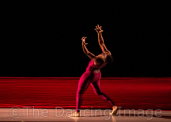 DBDT Encore-8661