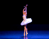 Dying Swan pc Sharen Bradford-1185