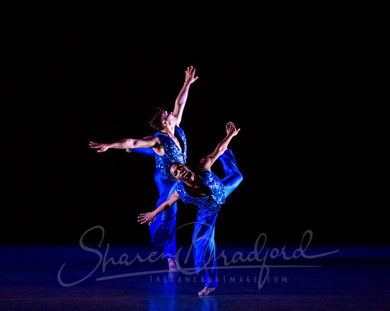 Following Echoes - pc Sharen Bradford-3455