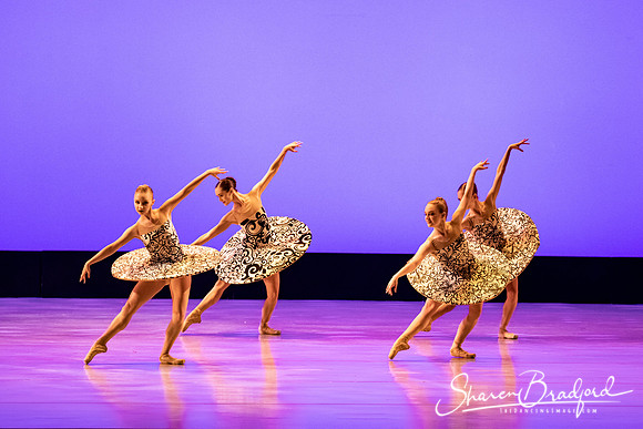 Ballet 37 pc Sharen Bradford-0350