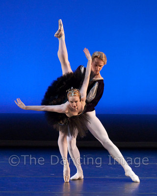 Black Swan-1122