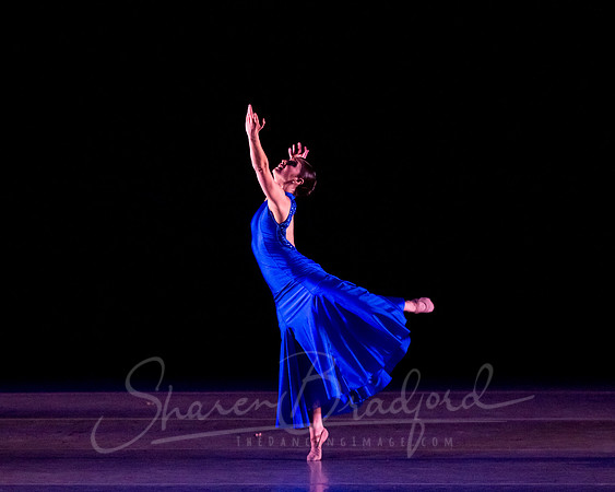 Following Echoes - pc Sharen Bradford-3308