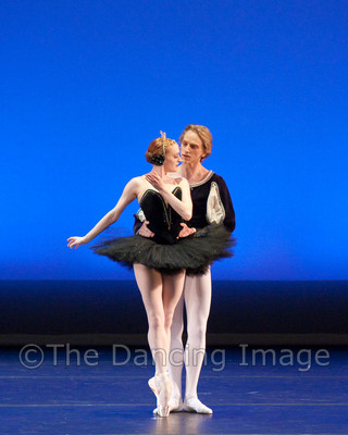 Black Swan-1128