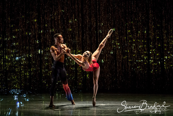 Stardust-pc Sharen Bradford-1588