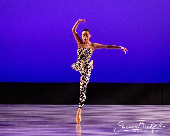 Ballet 37 pc Sharen Bradford-0486