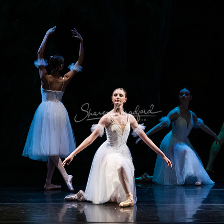 Ballet NTX Sleeping Beauty pc Sharen Bradford-1533
