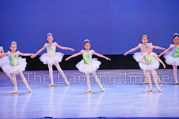 IMG_4817